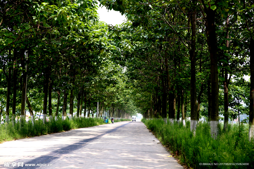 路边风景