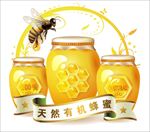 天然有机蜂蜜