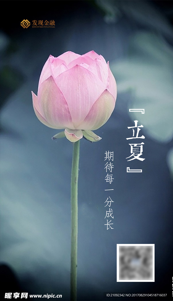立夏