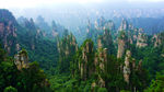 大美青山