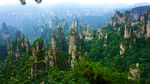 大美青山