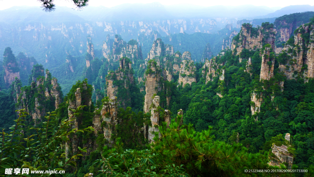 大美青山