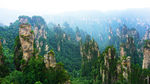 秀美青山