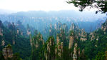 千山万峰