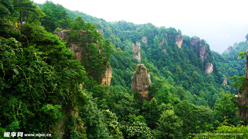 山浪峰涛