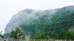 雨中青山