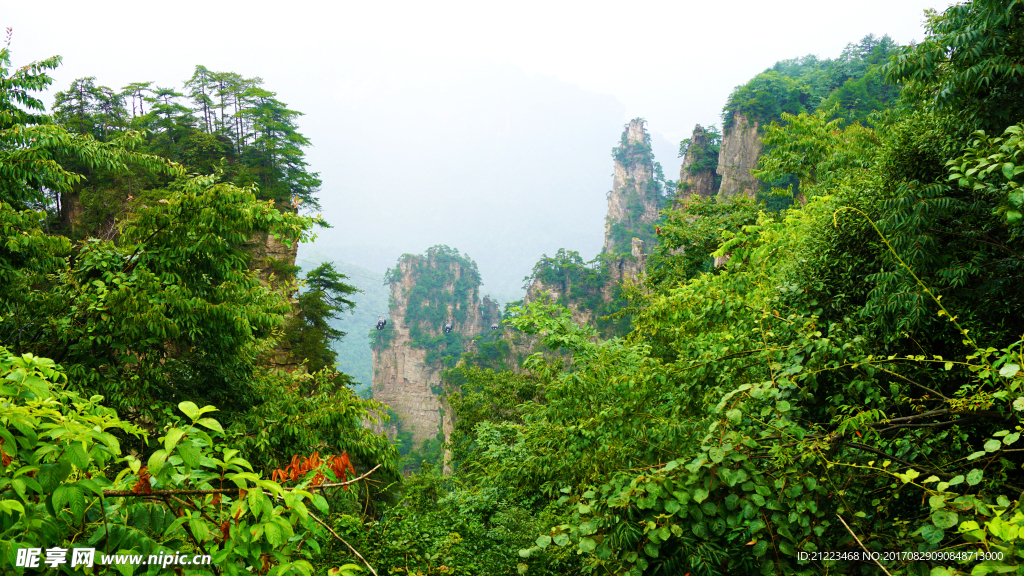 青山美