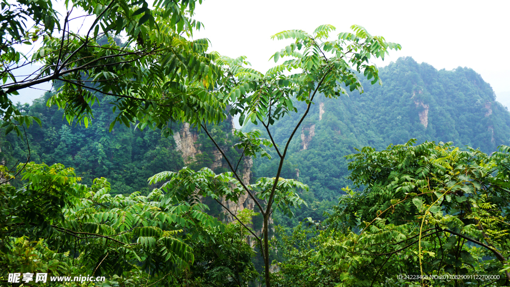 青山绿韵