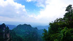 青山美