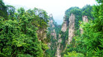 青山秀美