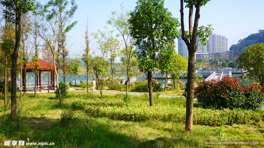 湖畔风景