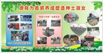小学夏令营展板