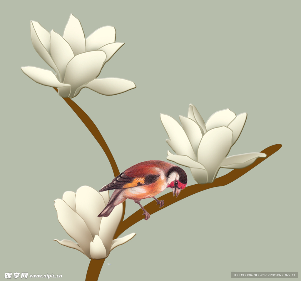 手绘 玉兰花