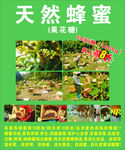 天然蜂蜜宣传单