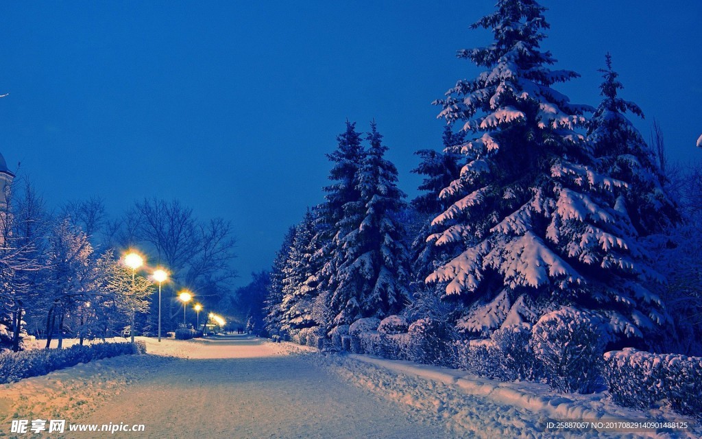 冰雪美景
