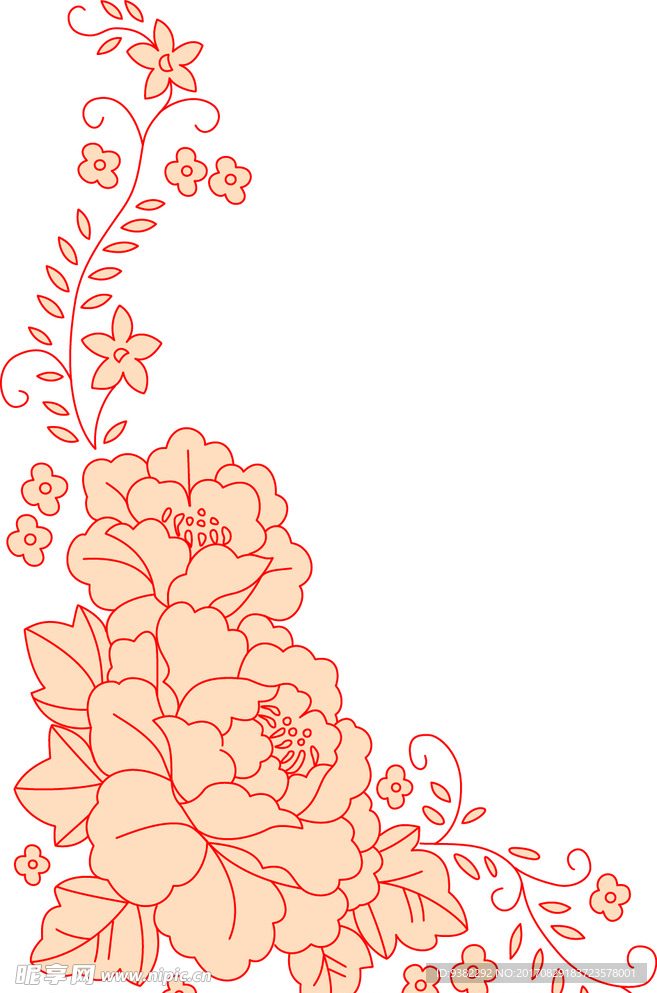 牡丹花