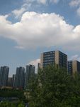 申瑞国际