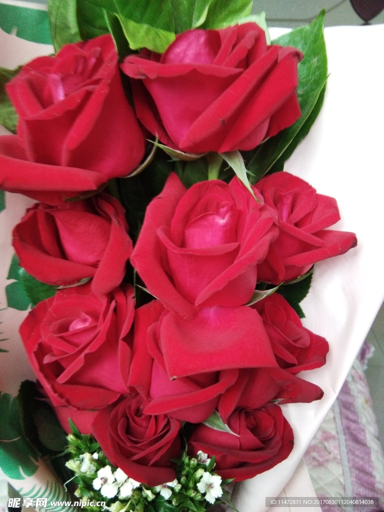 玫瑰花