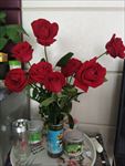 玫瑰花