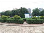 绿色城市