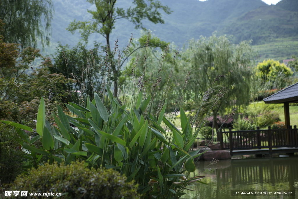 遵义仁怀风景