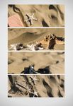 沙滩海星水瓶图片背景图