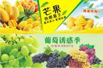 芒果葡萄水果招牌