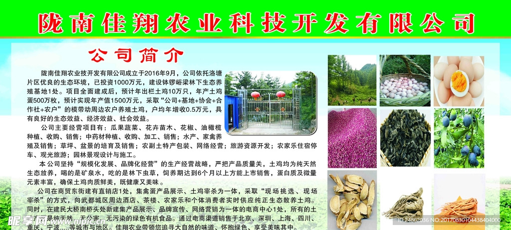 公司简介