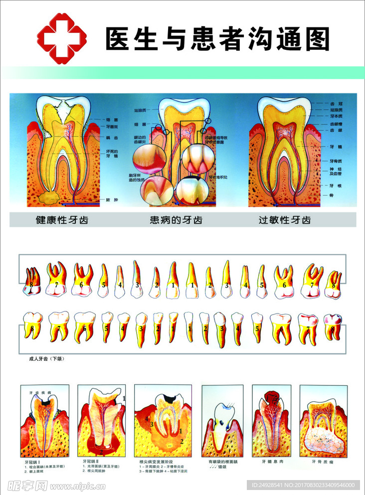 口腔展板