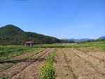 田畈
