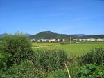 田园风光