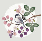 花鸟