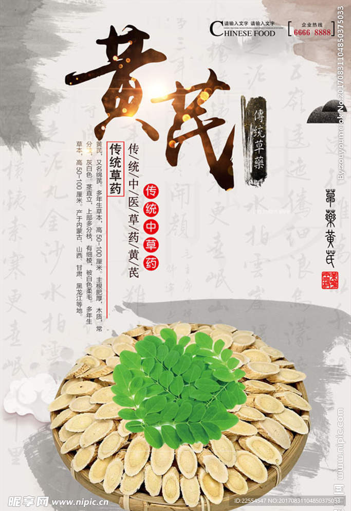 中医草药黄芪
