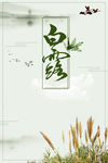 白露节气宣传海报