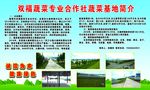 合作社基地简介