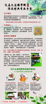 国学机 展架