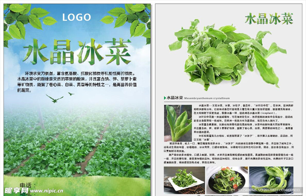 水晶冰菜宣传单
