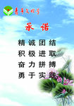 青年文明号承诺