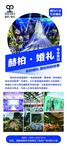 赫柏易拉宝