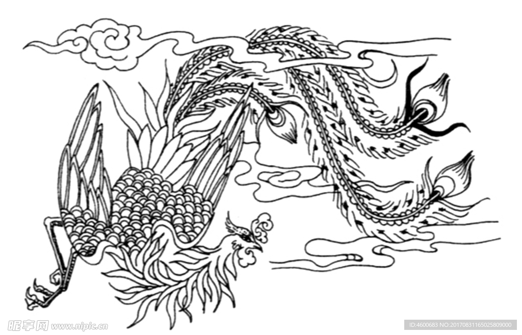 凤纹   动物图案花纹