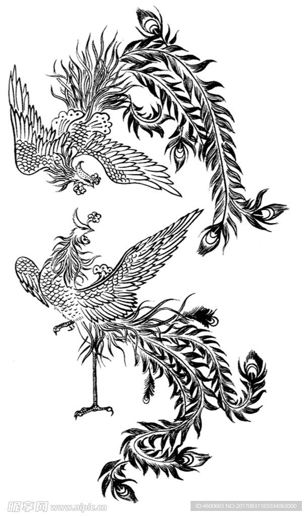 凤纹   动物图案花纹