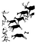 动物图案花纹    纹理