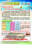 小学培训班教育招生宣传单