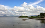 深圳湾公园