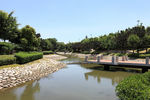 深圳湾公园