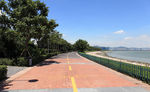 深圳湾公园休闲带