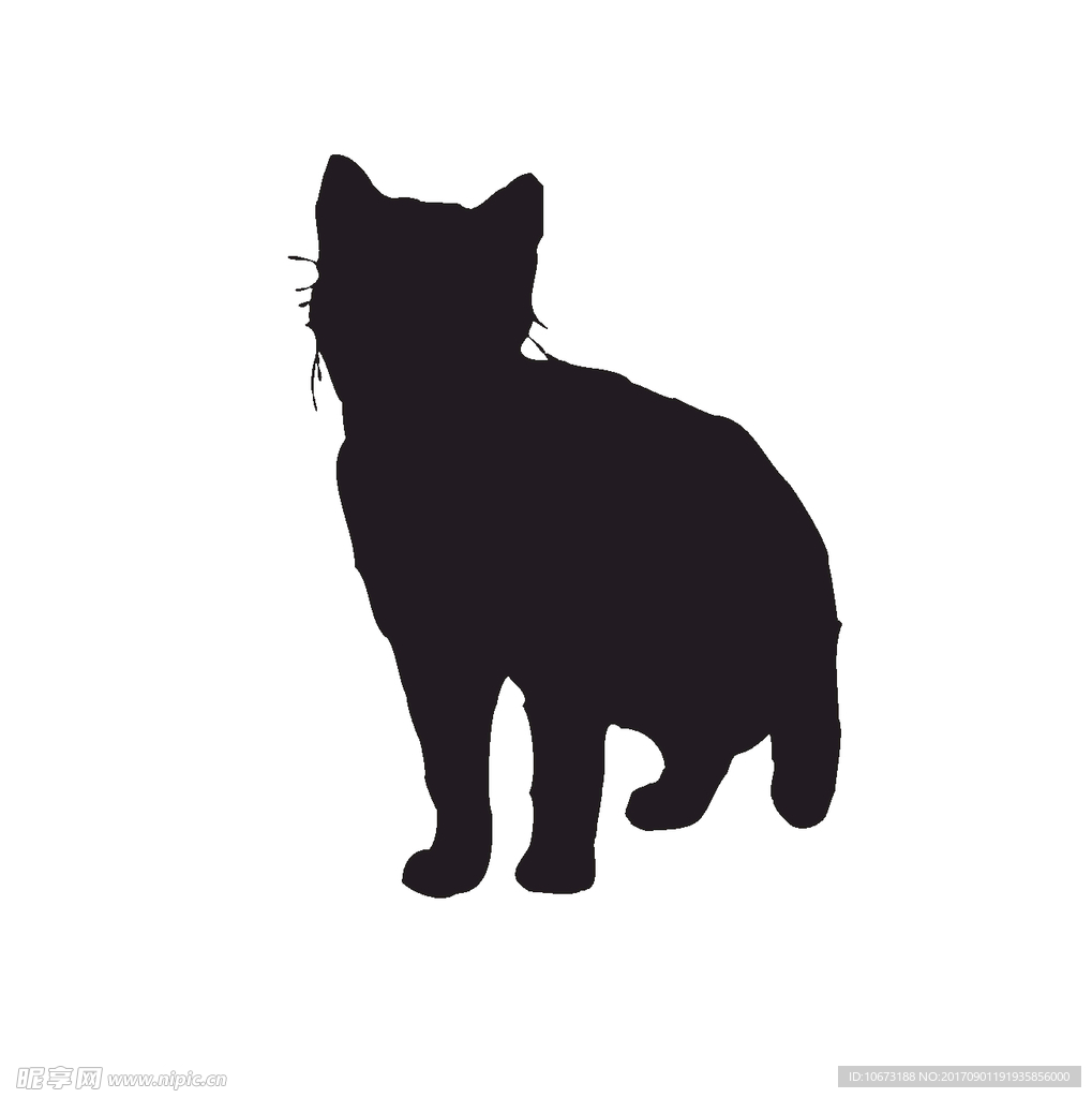 卡通猫