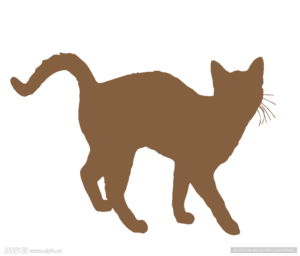 卡通猫