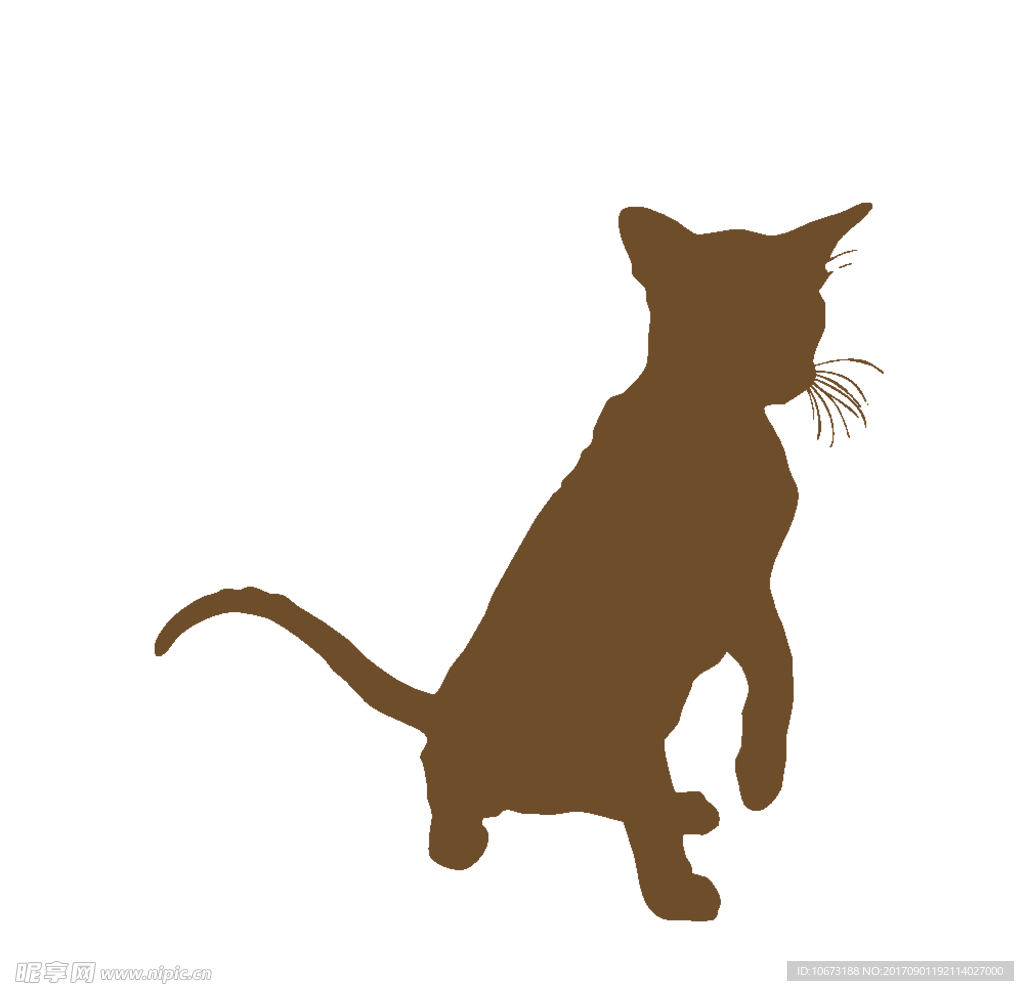 卡通猫