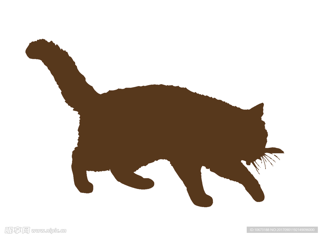 卡通猫